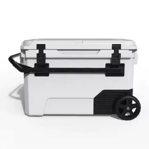 TPR55 Portable Refrigerator