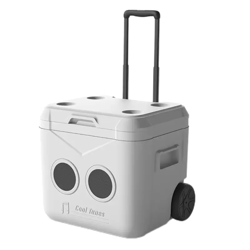 BLS Ultra-Light Music Speaker Cooler